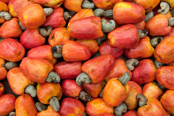 Cashew Nuts thumbnail